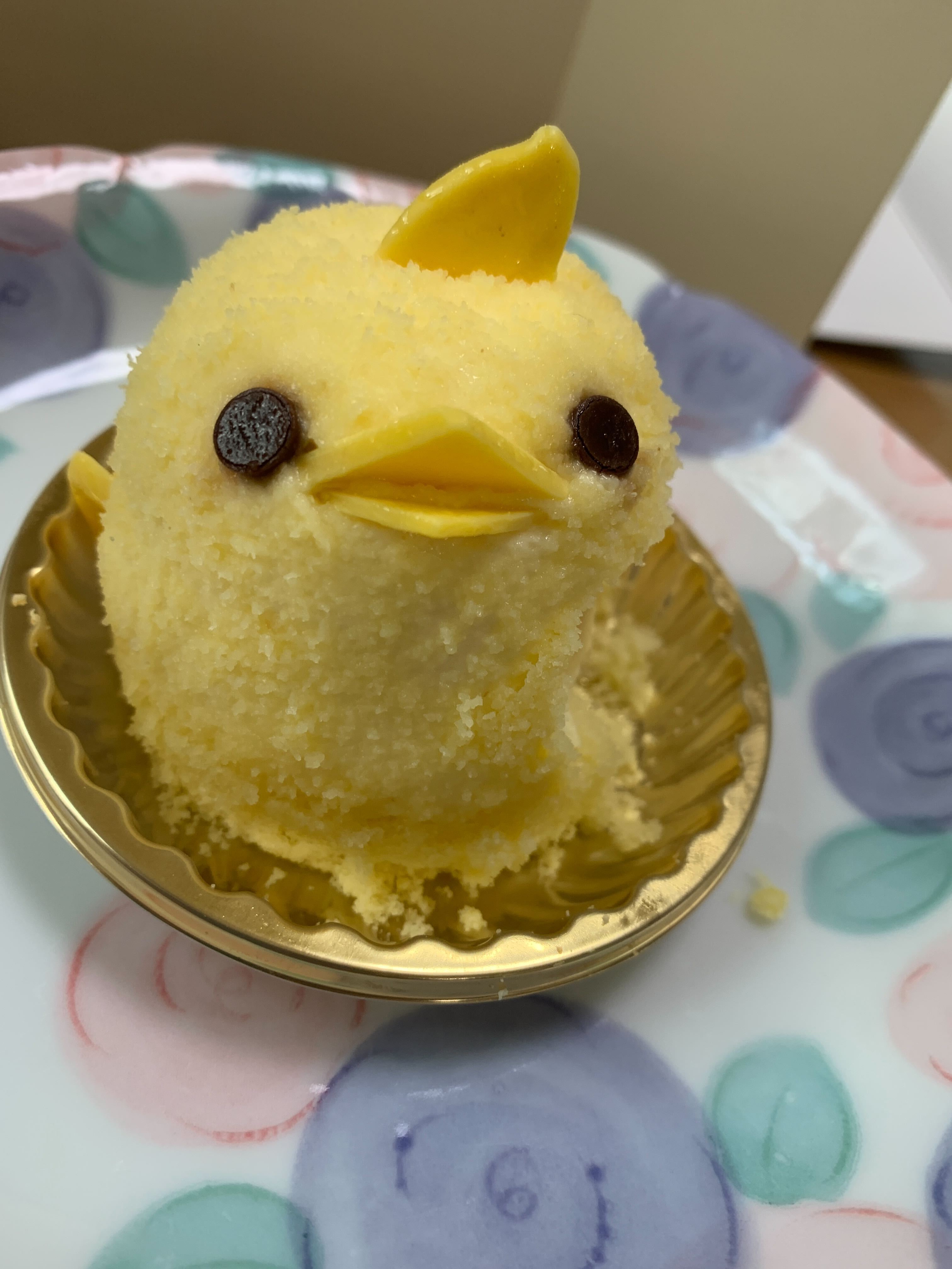学部生